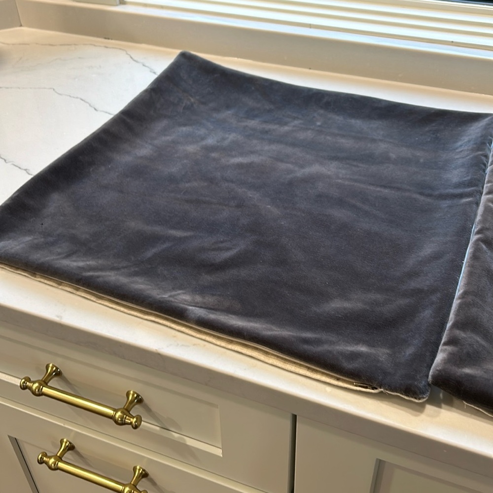Ballard Design Signature Pillow Cases (2)